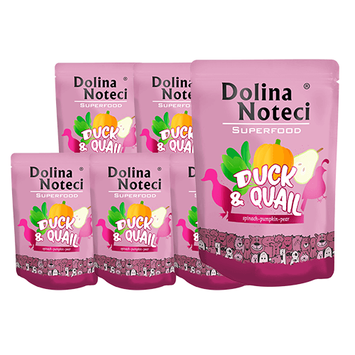 DOLINA NOTECI SuperFood Kaczka i Przepiórka 10x300g