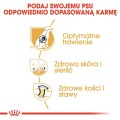 d3c532ba29b40b7640449c4b6faefbe4
