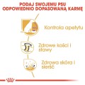 8278877e875f9acbf168e25b111bb6ee