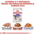 e25ac2a18dbf0adff15ca36262dbfe71