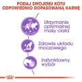 ba8bd4b794e02fb07cd049b5429368e4