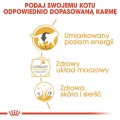 6a70518bd3e9e36f9719e5af84e8c3e4