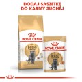 7be6182e05203297bef98af49a0649d4