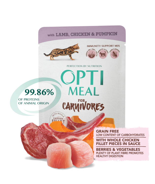 0c311edde541a84efbfc7f741f88b93a