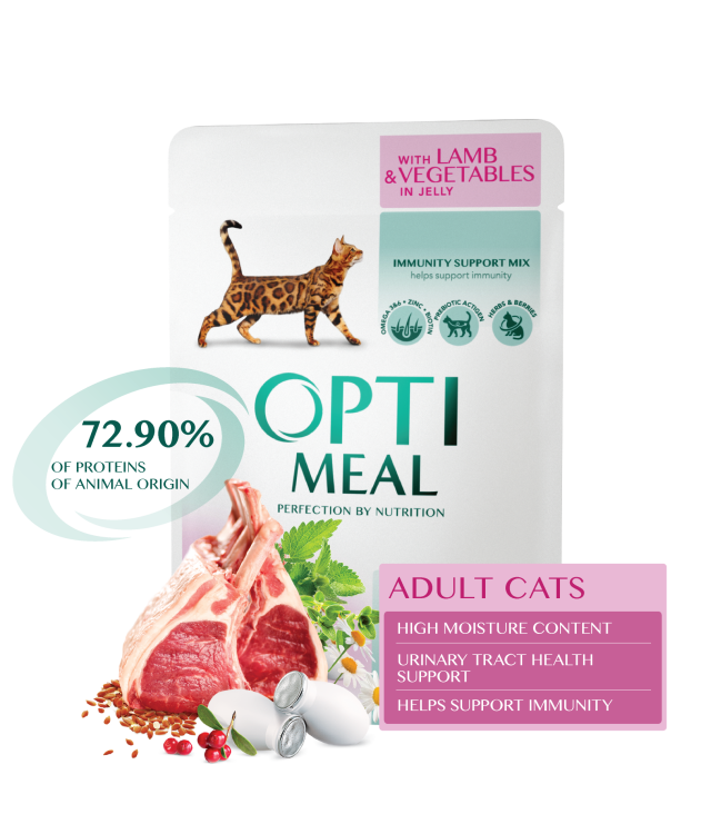 a5b8d2862f5a8610e700f6b0629e1cdd