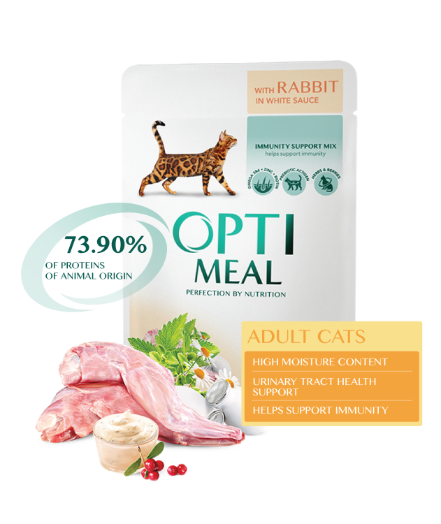 9135767362e8005a4aa54f594c28bd1a