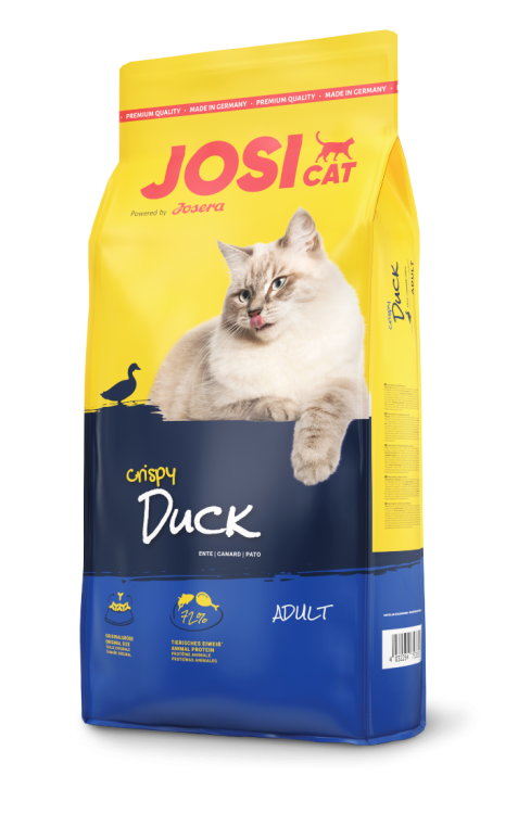 0ba95444094958fe69a6604a5b374181