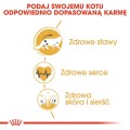 c89d343bf6bc096b67385ce2547968c5