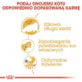 fa9ed25c58cbfdd4a2d61241b3a08ad7