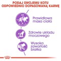 1cea20c617be2e0468ca365d809daeed