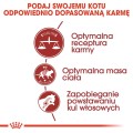 dcba43763c5dd1098a5a391588909cc6