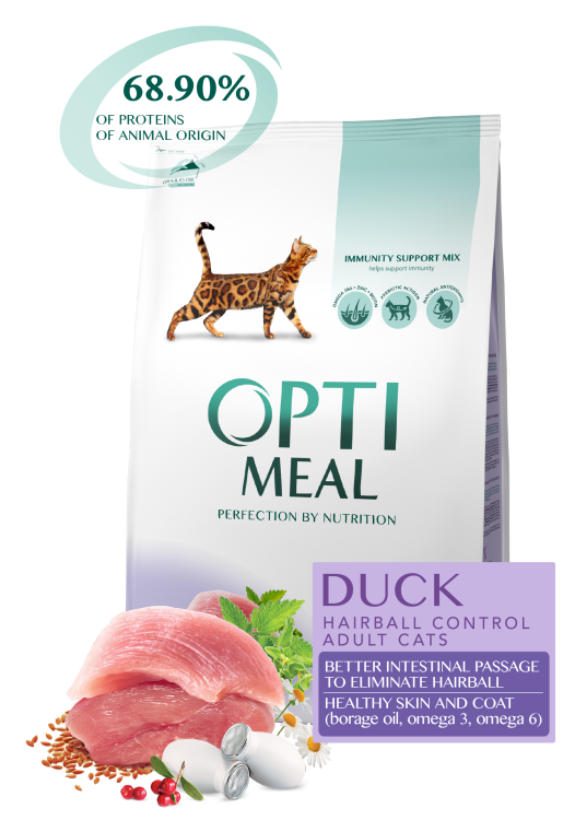 475efb7b14470fa190ad5f88f5aa67e1