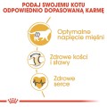 bf2e3aa20a71ffdced56628d1f57eb16