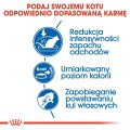 dd29a885535b5e570653851fcee9e433
