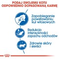 1b335a6e9c32355c0ad8c5fbeedde8b6