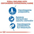 b18f83318d9d71e237c0c23b22cefc3e
