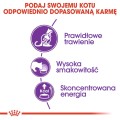 020f8ce078c0d55e77d0b59497f5f09e