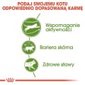 b441d1054a21b02866fbd6e2f3bd9f0d