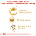 92fe6a9d32e9f4687e0574c8fe1368fc