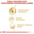 7ef41088f0f546c630b58b5a6ac7234f