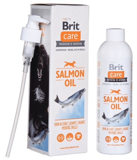 d6c5ea35a3df05f7d24aaa6be9a4db72