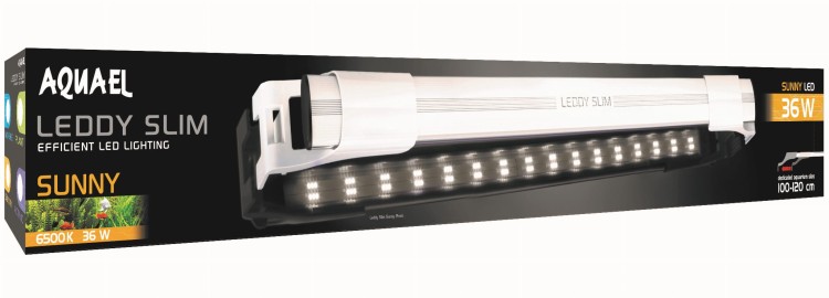 e440ffc32099f9681667a196b8655703