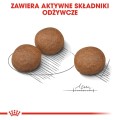 b0b70f90cef0e51db472a4f30f047ffe
