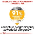 f8f1378884487eefe9368aa8cd210232