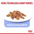 c6c869e14ce7aa4081af85c27302afa4