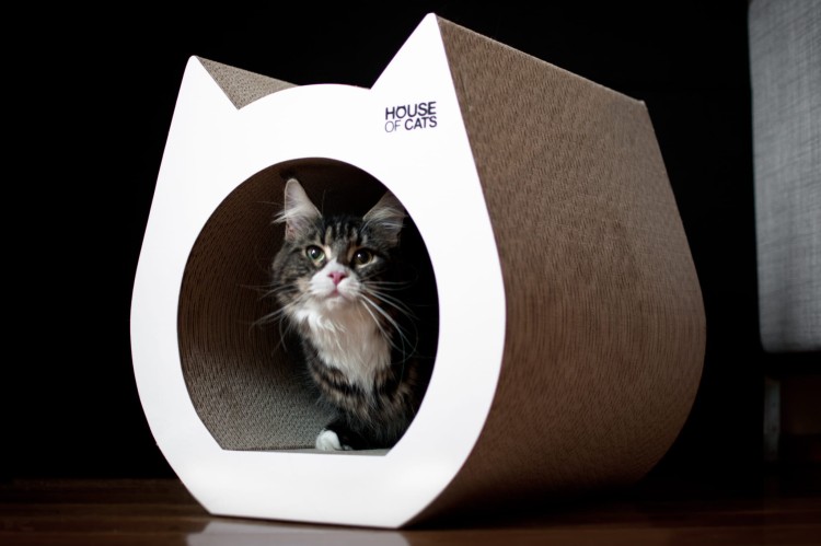 b333aa754fe6ccb80aa2b7d1c031c5be