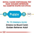 292ac31994b99620a653c6f83e743d4e
