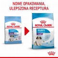 RC-SPT-DRY-GiantPuppy-CV-1-pl_PL.jpg