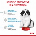 RC-SPT-DRY-GiantPuppy-CV-3-pl_PL.jpg