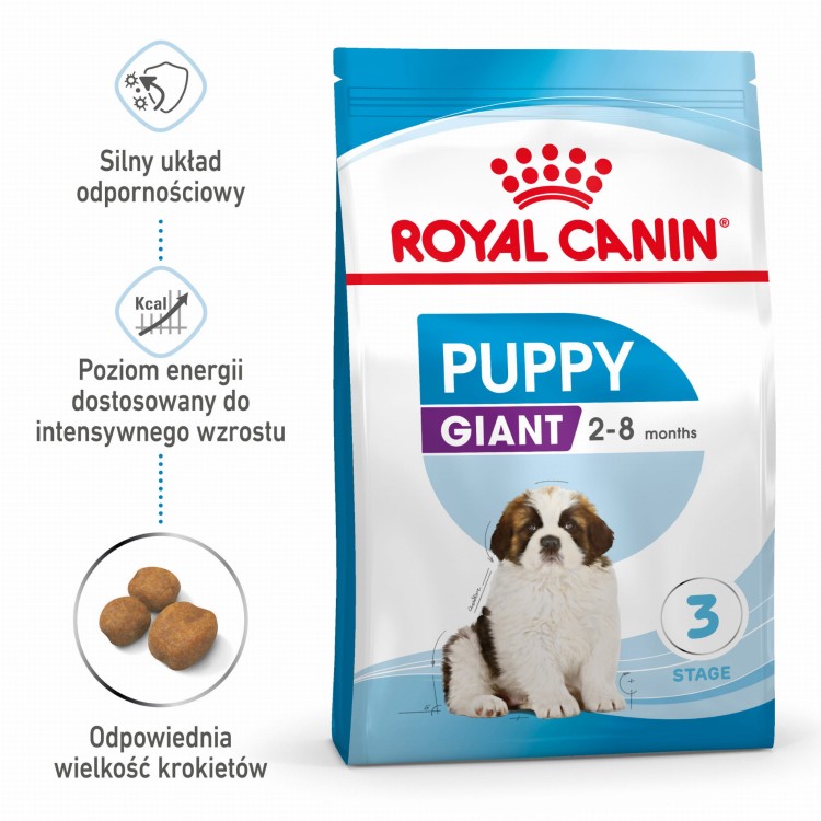 RC-SPT-DRY-GiantPuppy-MV-1-pl_PL.jpg