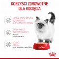 RC-SPT-WET-Kitten-LOAF-CV-3-pl_PL.jpg