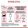RC-SPT-WET-Kitten-LOAF-CV-7-pl_PL.jpg