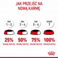 RC-SPT-WET-Kitten-LOAF-CV-9-pl_PL.jpg