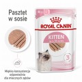 RC-SPT-WET-Kitten-LOAF-MV-1-pl_PL.jpg