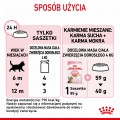 RC-SPT-WET-KittenSter-CIJ-CV-7-pl_PL.jpg