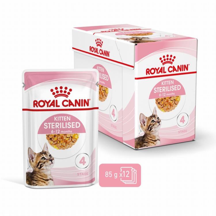 RC-SPT-WET-KittenSter-CIJ-MV-2-pl_PL.jpg