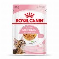 RC-SPT-WET-KittenSter-CIJ-MV-3-pl_PL.jpg
