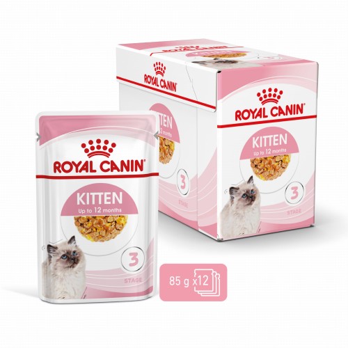 ROYAL CANIN Kitten w galaretce 12x85g karma mokra dla kociąt do 12 miesiąca życia