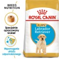 RC-BHN-PuppyLabradorRetriever-MV-EretailKit﻿-pl_PL.jpg