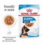 ROYAL CANIN Maxi Puppy 10x140g karma mokra dla szczeniąt psów ras dużych