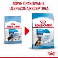 RC-SPT-DRY-MaxiPuppy-CV-1-pl_PL.jpg