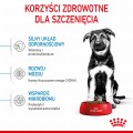 RC-SPT-DRY-MaxiPuppy-CV-3-pl_PL.jpg