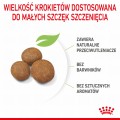 RC-SPT-DRY-MaxiPuppy-CV-4-pl_PL.jpg