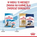 RC-SPT-DRY-MaxiPuppy-CV-5-pl_PL.jpg