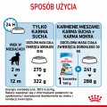 RC-SPT-DRY-MaxiPuppy-CV-7-pl_PL.jpg