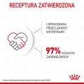 RC-SPT-DRY-MaxiPuppy-CV-10-pl_PL.jpg